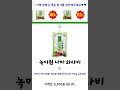 아이스박스포함 녹미원 생와사비 나마 750g 고추냉이 1개 가성비 꿀맛 shorts 내돈내산video