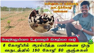 6 தாய் கோழியில் ஆரம்பித்த பண்ணை தற்போது 150 கோழி 80 குஞ்சுகள் ??