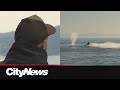 Sea-Doo rider who collided with gray whale speaks out