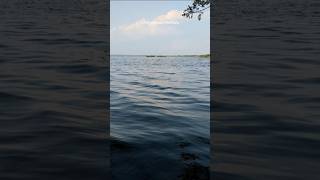 கடல் போல் காட்சியளிக்கும் ஊசுட்டேரி😍😍 #lake #pondicherry #scenicbeauty #boating