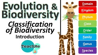 (5.3) - Classification Of Biodiversity - INTRO - (IB Biology) - TeachMe