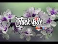 dof x vince 988 x jackside goumin remix 2o24