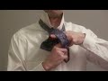 how to tie a tie mirrored slowly full windsor knot