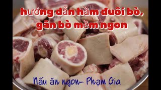 HƯỚNG DẪN CÁCH HẦM ĐUÔI BÒ MỀM | Nấu ăn ngon- Phạm Gia | hầm gân bò