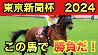 【東京新聞杯2024・予想】本命馬◯◯◯、穴馬◯◯◯を指名！予想・買い目を発表します！！