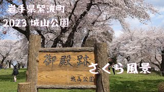 岩手県紫波町【城山公園 さくら風景】