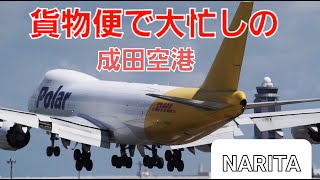 ✈✈RJAA成田空港 貨物便で大忙しの成田国際空港 A滑走路 ポーラーエアカーゴ (Polar Air Cargo)Boeing 747-87UF/SCDカーゴルクス・イタリアBoeing 747