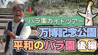 【バラ園ガイドツアー】万博記念公園/平和のバラ園[後編]～小山内健がご案内♪ひとりガイドツアー(2021年5月23日撮影）（2021年6月4日）