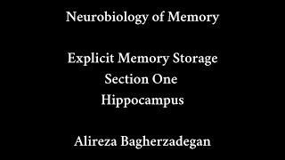 Lecture 10: Explicit Memory storage, Section One, Hippocampus