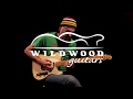 Wildwood Story Time  •  Greg's Old Telecaster