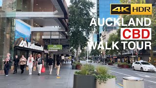 Auckland Sunday Afternoon Walk New Zealand 4K