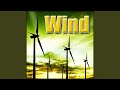 Wind, Field - Heavy Wind Through Cornfield: Some Gusts, Heavy Stock Movement, Farm, Rural &...