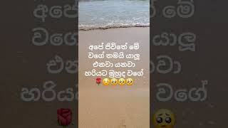 22 දෙසැම්බර් 2024