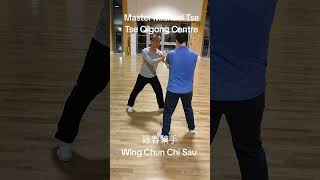 詠春黐手 Wing Chun Chi Sau #功夫 #kungfu #martialarts #詠春拳 #wingchun #ipman #ipchun #葉問 #葉準 #chisau #黐手