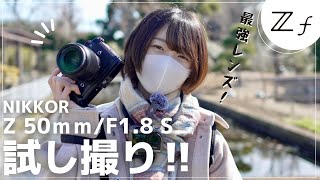 【試撮】Z50mmf1.8とNikon Zfで開封後の試し撮り！鎌倉のフラワーセンターでPOVスナップ【NikonZf】