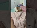 猫咪 猫咪性格 shorts cat cutecat funny没有理由撩闲了就硬撩哈哈哈