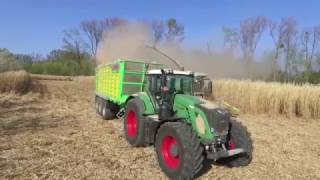 Miscanthus harvest 2017 - Fendt - Claas - Joskin