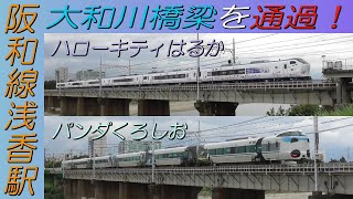 大和川橋梁を通過するハローキティはるかとパンダくろしお 阪和線浅香駅