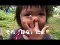 どこかおしえて（ネコのわくわく自然教室・ミニ動画）