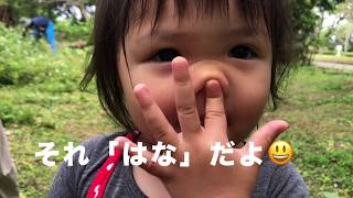 どこかおしえて（ネコのわくわく自然教室・ミニ動画）