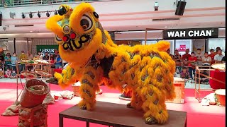 Shang Wu Lion Dance 檳城尚武文化體育會