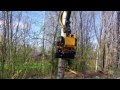 tree surgery with truck crane baumpflege mit lkw kran boomonderhoud met vrachtwagen kraan