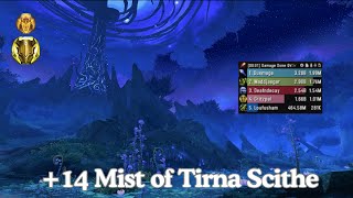 Mist of Tirna Scithe +14 | Prot Paladin | TWW M+ Season 1