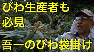 令和3年2月吾一のびわの木の袋掛け