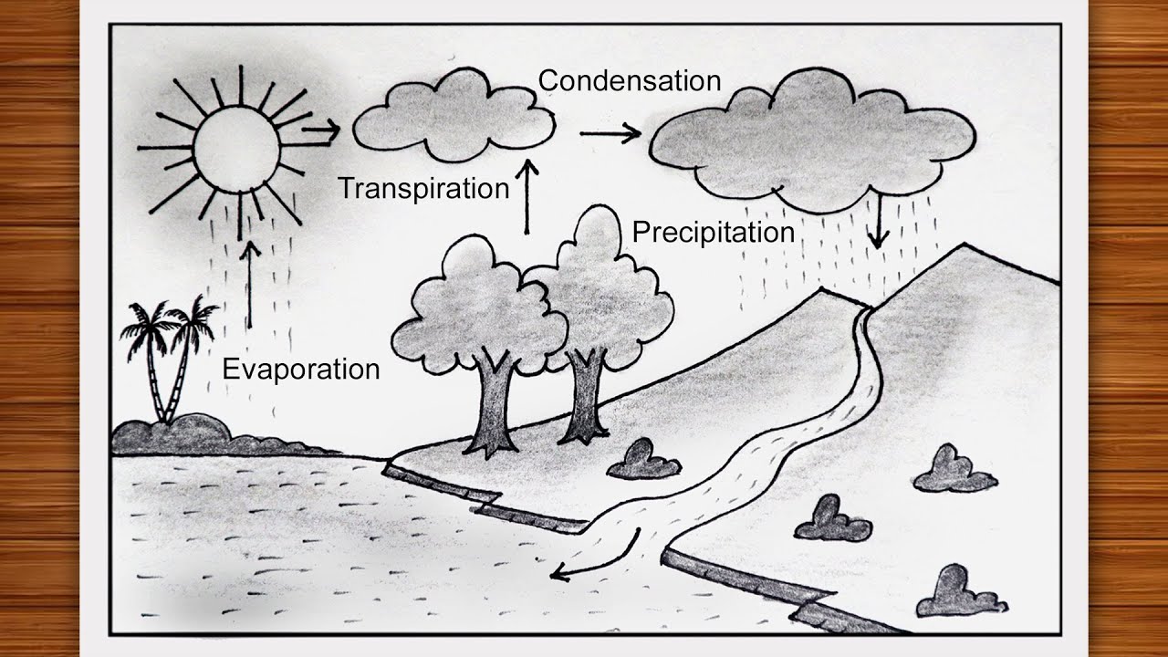 How To Draw A Water Cycle Easy Step By Step, Water Cycle Diagram ...