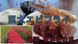 【京都 亀岡　彼岸花の里（2024年10月5日撮影）】とんかつ ひろ喜 亀岡店 一口ヒレとんかつ＆海老フライ定食　お詫びとご報告