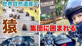 The result of riding a motorcycle alone on Yakushima, a World Natural Heritage Site ...