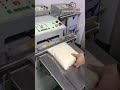 Outer external type bean rice nut plastic bag pouch vacuum sealing machine semi automatic bag vacuum