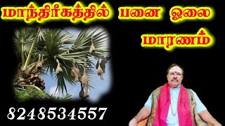 மாந்திரீகத்தில் பனை ஓலை மாரணம் | manthirigam |  வாக்தேவி ஜோதிட ஆலயம் | 8248534557