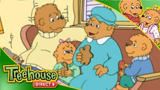 The Berenstain Bears | Weather Change
