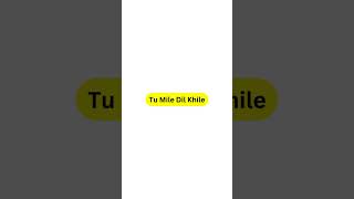 Tu Mile Dil Khile | Cover Song | Kumar Sanu | Alka Yagnik | #shorts #coversong #india #kumarsanu