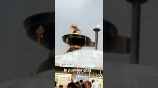 godavari Shiva lingam in pushkar ghat