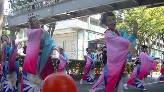 原宿スーパーよさこい2018／2日目／真美流星乱舞群