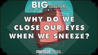 Why do we close our eyes when we sneeze? - Big Questions - (Ep. 228) | Mental Floss