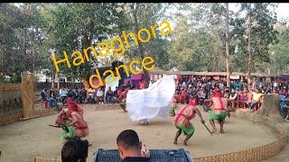 Rabha flock dance HANAGHORA