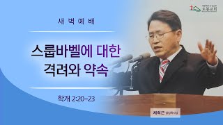 도봉교회 새벽250203 스룹바벨에 대한 격려와 약속(학2:20-23) 채희근 목사님