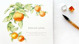 [ 수채화키트: 오렌지그리기 ] How to paint orange watercolor • 오렌지수채화 • Orange painting.