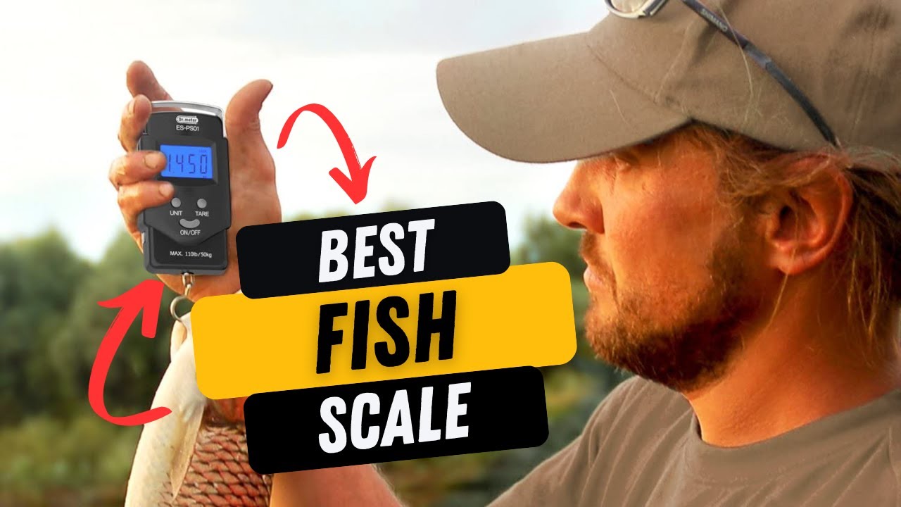 Top 10 Best Fishing Scale Review (2023 Buyer's Guide) - YouTube