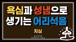 탐내고 성내고 어리석음은 연결되어 있다ㅣ치심ㅣ지혜공부