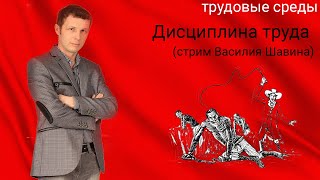 Дисциплина труда (стрим Василия Шавина)