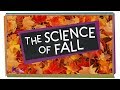 The Science of Fall | Compilation | SciShow Kids