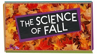 The Science of Fall | Compilation | SciShow Kids