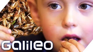 Lieblingsessen Insekten: Dieser Junge isst außergewöhnlich! | Galileo