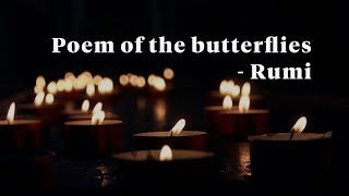 Poem of the butterflies - Rumi