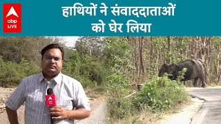 Uttarakhand News: गर्मी के दिनों में इंसान के साथ-साथ जानवर भी परेशान, देखिए रिपोर्ट | ABP LIVE