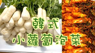 韓國泡菜｜韓式小蘿蔔泡菜，做法簡單，清涼可口，又脆又美味！